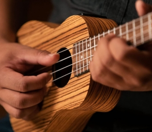 ukulele1