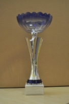 dsc-0012