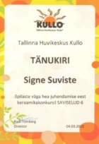 Keraamika3_2015