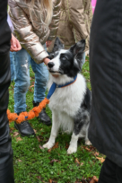 DSC_3161 (2)