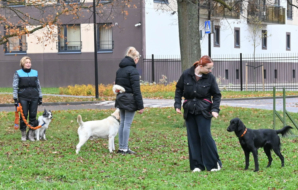 DSC_3061 (2)