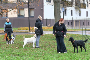 DSC_3061 (2)