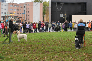 DSC_3070(2)