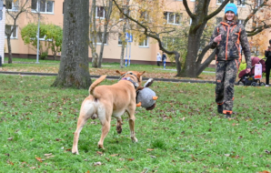 DSC_3093 (2)